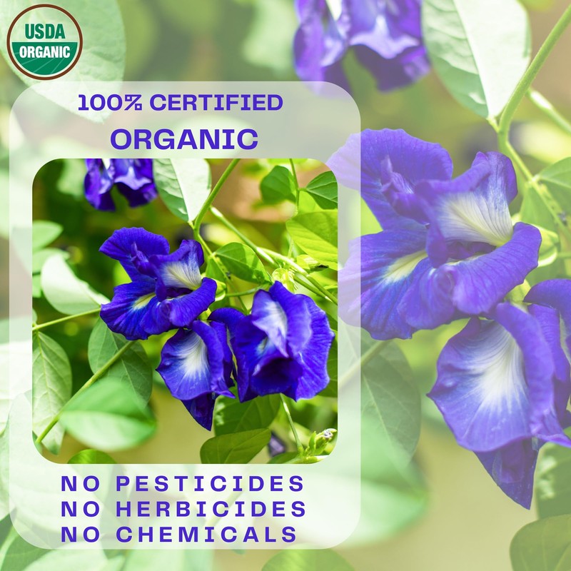 Butterfly Pea Flower Powder - Organic Blue Matcha Tea and