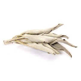 Juniper Ridge | White Sage Loose Leaves | Salvia Apiana Clusters | Dry Burning White Sage | 1 Lb Bag