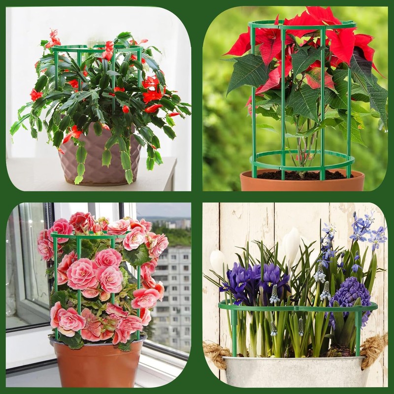 Plant Support Half Round 20 Pieces Flower Holder Plant Holder