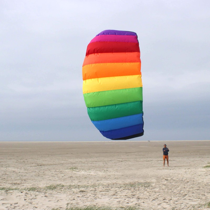 Wolkenstürmer Paraflex basic 1.2 - SE 2-line parafoil kite, multicolour,
