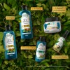Herbal Essences Acondicionador Bio:Renew Argan Oil Of Morocco, 400 ml