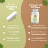 Fort Core - Akkermansia + Polifenoles - Suplemento Alimenticio -