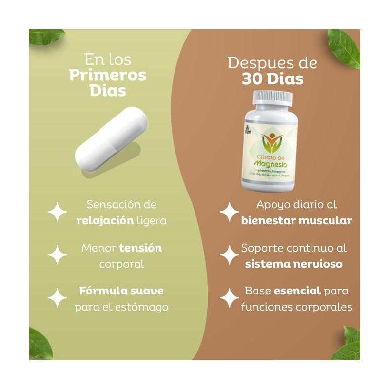 Fort Core - Akkermansia + Polifenoles - Suplemento Alimenticio -