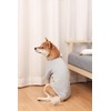 Spajoy Dog Shirts 2pcs Blank Shirts Soft for Small Medium