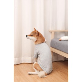 Spajoy Dog Shirts 2pcs Blank Shirts Soft for Small Medium Large Dogs and Cat Soft and Breathable Apparel Shirts