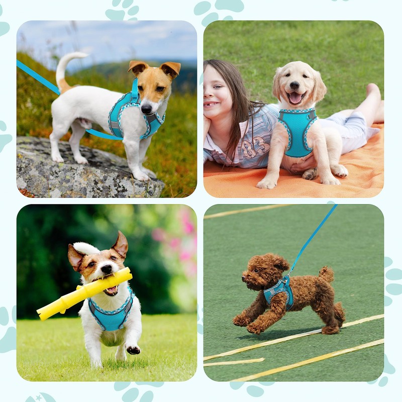 No Pull Dog Harness and Leash Set - Adjustable Reflective