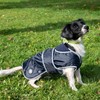 Ancol Muddy Paws All Weather Stormguard Coat . Navy Blue.