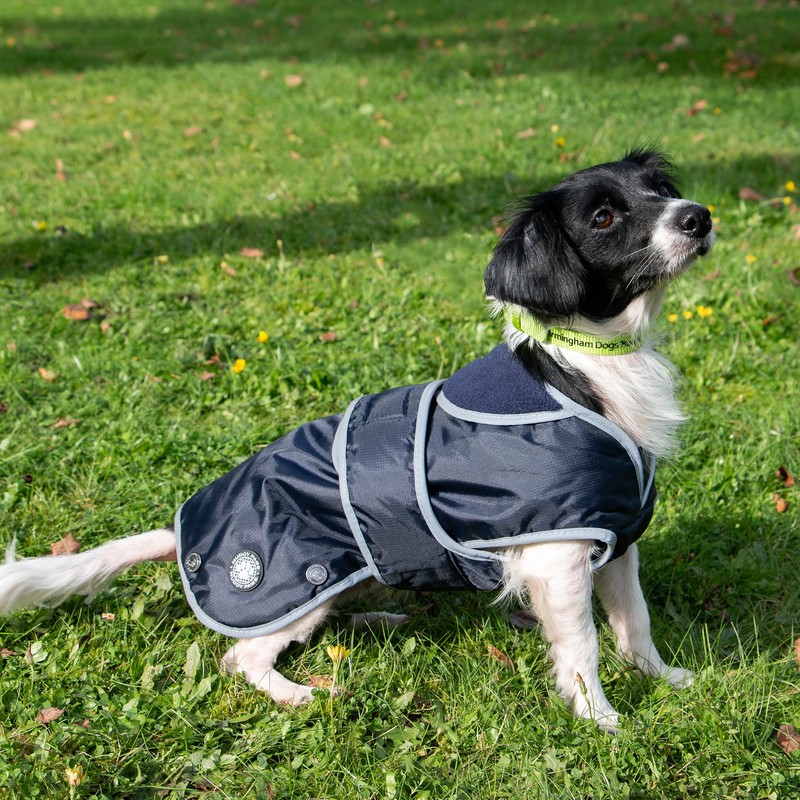Ancol Muddy Paws All Weather Stormguard Coat . Navy Blue.