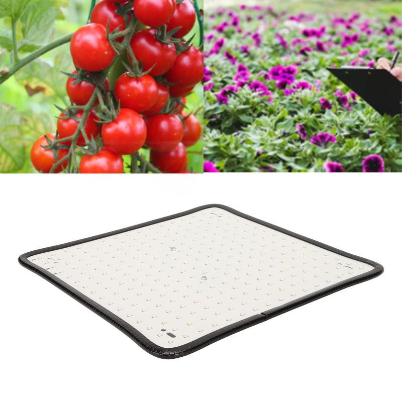 Plant Growing Lamp Scientific Control Low Heat LED Grow Light