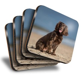 Destination Vinyl ltd Great Coasters (Set of 4) Square - Cocker Spaniel Puppy Dog Drink Glossy Coasters/Tabletop Protection for Any Table Type #12508