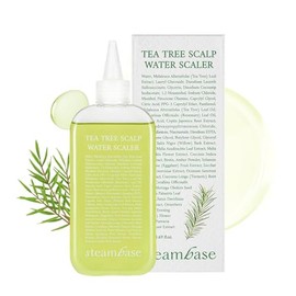 STEAMBASE Tea Tree Scalp Treatment | Purifies and Exfoliates Oily Scalp | Natural BHA & Tea Tree | Removes Odor & Buildup | Hypoallergenic Exfoliator,