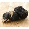Spoers Black Truffle Mushrooms Dried Mycelium Seeds Spawn Substrate for