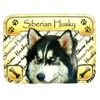 Siberian Husky Photo Fridge Magnet