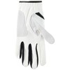 FootJoy GT Extreme Golf Gloves, multicolor (white / black)