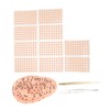 600Pcs Acupressure Ear Beads Massage Acupoint Pressure Stimulation Paste Ear