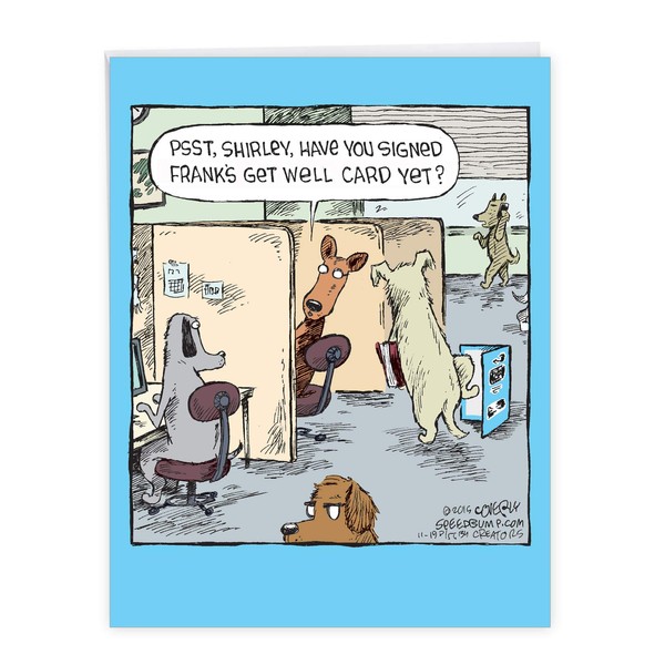 NobleWorks - 1 Funny Get Well Card with Envelope -