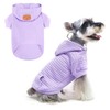 BEAUTYZOO Small Dog Hoodie Sweater with Pockets, Dog Clothes for