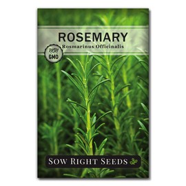 Sow Right Seeds - Rosemary Seed for Planting - Non-GMO Heirloom Packet with Instructions to Plant and Grow a Kitchen Herb Garden - Indoors or Outdoor - Tasty Culinary Herb, Super Fragrant (1)