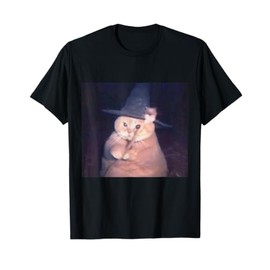 Funny Wizard Cat Fat Cat Meme Cheeseball Orange Cat Magic T-Shirt