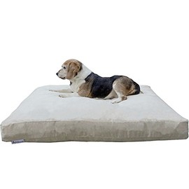 Dogbed4less Large Memory Foam Dog Bed for Medium Dogs, Orthopedic Comfort, Waterproof Liner and Suede Pet Bed Cover 41"X27" Pillow, Khaki