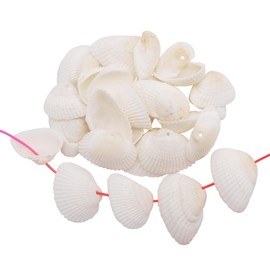 GraceAngie Box of 100pcs Natural Clam Shell Pendants 20mm-40mm Beach Ocean Seashell Beads Charms for Vase Filler Fish Tank Jewelry Making