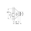 GROHE 12001000 S-Connector 1/2-Inch x 3/4-Inch Can be Adjusted by