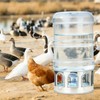 5 Gallon Chicken Waterer Base for Farm, Stainless Steel Poultry