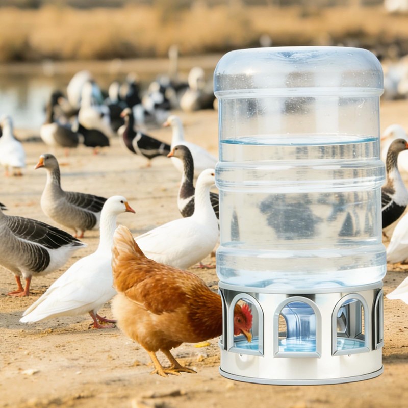 5 Gallon Chicken Waterer Base for Farm, Stainless Steel Poultry