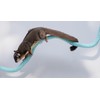 Jinymral Sugar Glider Cage Accessories, Ideal Climbing Toys Supplies for
