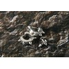 Punk Rock Spike Titanium Earrings, 2 Types, Set for Women,