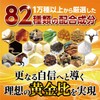 PBプレミアム（ペニブーストプレミアム PBラベル）シトルリン アルギニン 亜鉛 厳選82成分配合