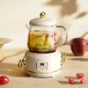 Health Pot Stainless Steel Glass Multifunctional Mini Electric Tea Maker