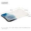 Toyo Sasaki Glass Long Plate, Seidew, Made in Japan, Blue,