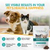AminAvast Small Dogs & Cat Kidney Support - Promotes Healthy
