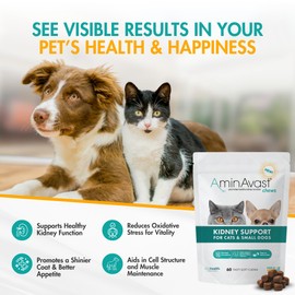 AminAvast Small Dogs & Cat Kidney Support - Promotes Healthy Kidney Support in Cats & Small Dogs - 300mg (60 Chews)