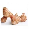 A&W Organic Dried slice Indonesian Galangal 2 oz