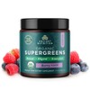 Ancient Nutrition SuperGreens Powder with Probiotics, Organic Berry Flavor Greens,