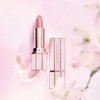 Dear Dahlia Headquarters Lip Paradise Sensual Lip Glow (+mini tinted