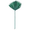 Vickerman 720141-13.75-19.5" Emerald Palm Sun Spear 12/bg (H7PSS175) Dried and