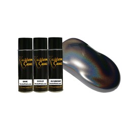Spectracoat Paint Gunmetal - 13.5oz Aerosol Can Kit