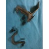 Perfect Products 71 72 73 74 Dodge Charger Hood Latch