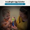 Incubator Warehouse Incu-Bright™ Ultra Bright LED Egg Candler - Portable