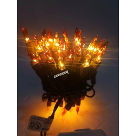 Unbranded Thanksgiving Fall Harvest  Brown Orange Amber 50 String  Lights Brown Cord