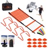 Kevirice Agility Ladder, Agility Speed Training Set, 20ft 12 Rung