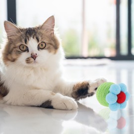 CAPASTEC Cat Play Ball, Interactive Cat Ball for Indoors, Safe Teeth Cleaning, Cat Chew Balls, Kitten Ball for Playtime and Teething Green