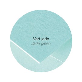 Clairefontaine - Ref 21833C - Pollen Folded Card (Pack of 25 Sheets) - 135 x 135mm Sized, 210gsm Card, Inkjet & Laser Printer Compatible, Acid Free - Jade Green