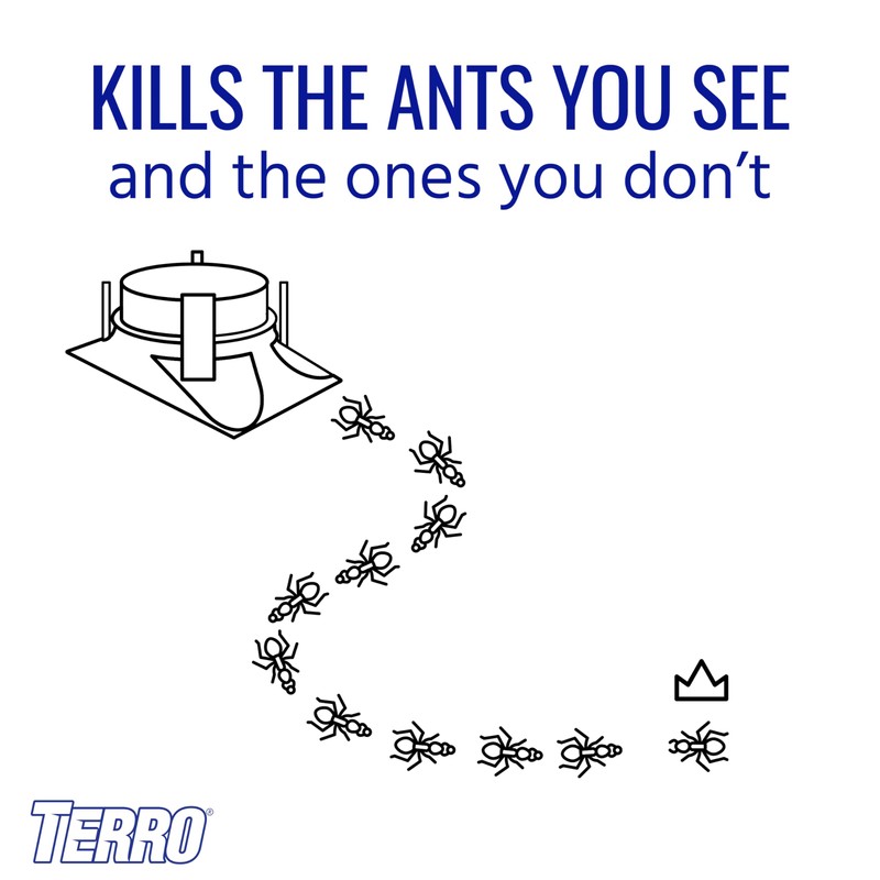 TERRO T1804SR Outdoor Ready-to-Use Liquid Ant Bait Killer and Trap