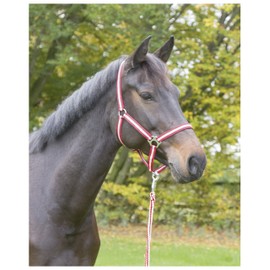 Kerbl Unisex's Hippo Head Collar-Red, Size 0