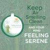 Citrus Magic Ambientador sólido absorbente de olores, bosque lluvioso de