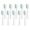 Harobey Replacement Toothbrush Heads 10 Pack Compatible with Bitvae Daily